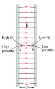 Difference between electric potential and electric potential energy