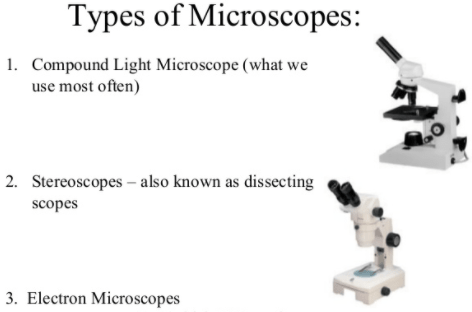 Types of microscopes