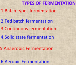 Types of fermentation