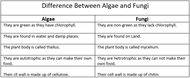 Difference between Algae and fungi
