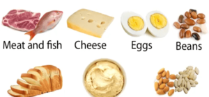 Examples of Proteins