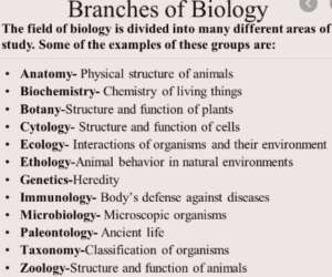 Main Branches of biology