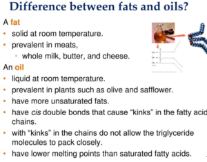 Difference between fats and oils