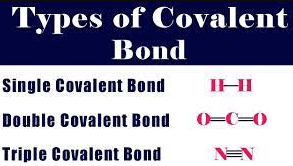 Types of Covalent bond