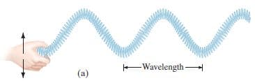transverse waves image