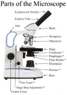 Parts of microscopes