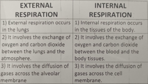 Difference between internal and External breathing