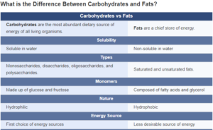 difference between carbohydrates and fats