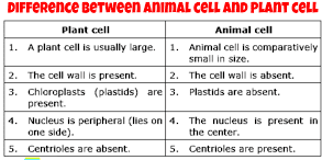 Difference between plant cells and animal cells