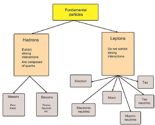 types-of-elementary-particles-and-their-classification