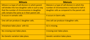 Difference between mitosis and meiosis