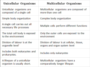 Unicellular organisms and Multicellular Organisms