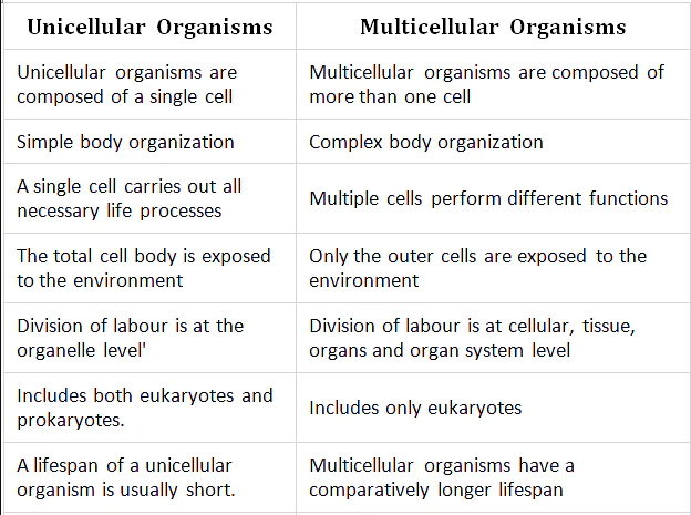 Difference between Unicellular and Multicellular Organisms - Ox Science