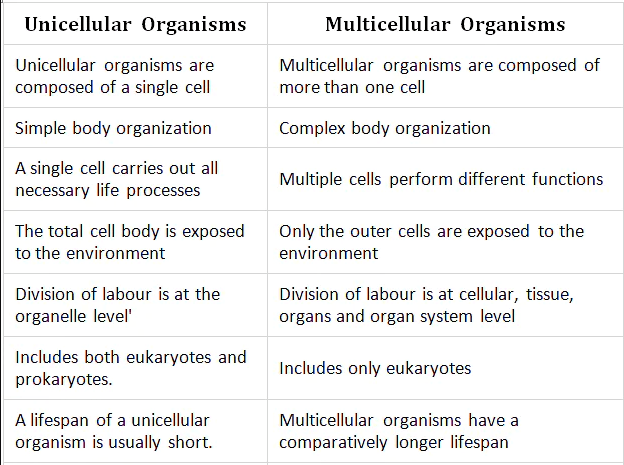 Difference Between Unicellular And Multicellular Organisms Ox Science