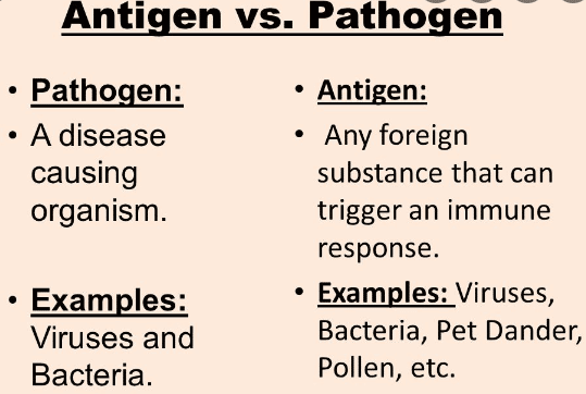 Difference Between Antigen And Pathogen In Tabular Form - Ox Science