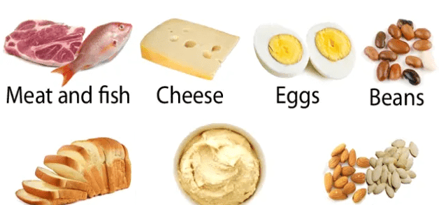 Types of Proteins with Examples and Sources - Ox Science