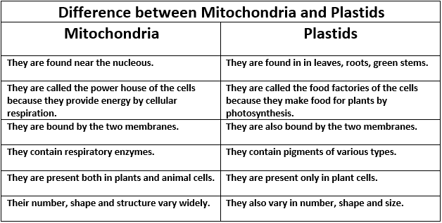 Difference between Mitochondria and Plastids in tabular form