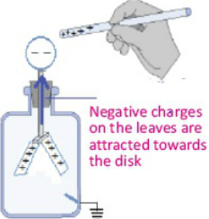 negative charge on the leave