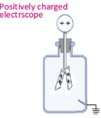 positively charge electroscope