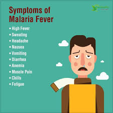 Malaria symptoms