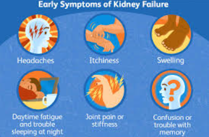 symptoms of kidney failure